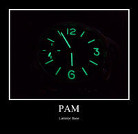 Pam318_3-1.jpg